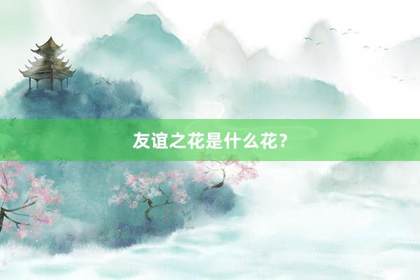 友谊之花是什么花？