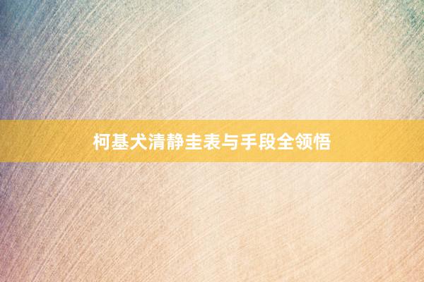 柯基犬清静圭表与手段全领悟